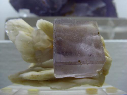 Fluorita y Barita
Berbes, Zona Minera de Berbes, Ribadesella, Asturias, España
Pieza de 6cm. Cristal totalmente flotante de 3x3 cm (Autor: jaume.vilalta)