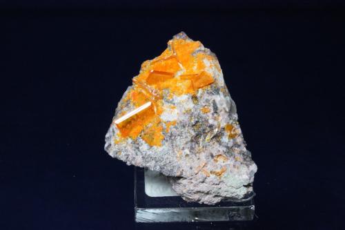 Wulfenite, Mimetite
Rowley Mine, Theba, Maricopa County, Arizona, USA
4.3 x 3.9 cm (Author: Don Lum)