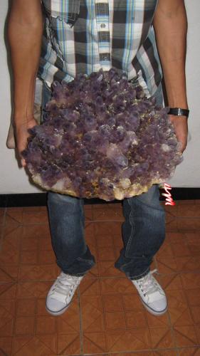 Amethyst
Tehuilotepec
38cm diameter, 26 kilograms
As of today this is the largest sample of good quality amethyst locality of Tehuilotepec, State of Mexico, Mexico now in Dennis Beals hands. (Author: jorgedavid)
