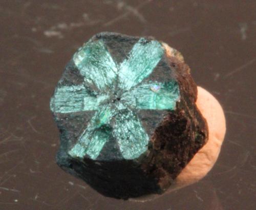 Beryl var emerald
Muzo Mine, Municipio de Muzo, Vasquez-Yacopí, Boyacá, Colombia
7 x 6 mm (Author: Don Lum)