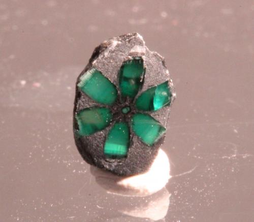 Beryl var emerald
Muzo Mine, Municipio de Muzo, Vasquez-Yacopí, Boyacá, Colombia
8 x 6 mm (Author: Don Lum)