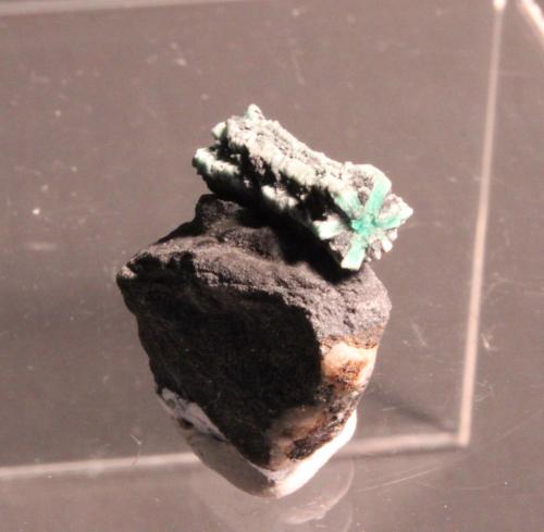 Beryl var emerald
Peña Blanca Mine, Municipio de San Pablo de Borbur, Vasquez-Yacopí, Boyacá, Colombia
21 x 14 mm (Author: Don Lum)