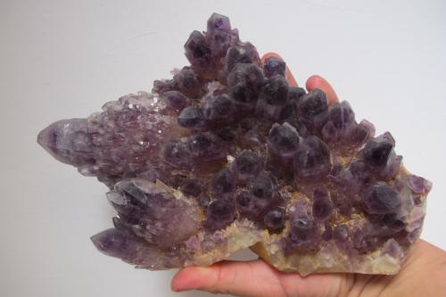 Amethyst
Tehuilotepec
24x16 cm
Now is coming more quality for this mine because we are digging 1mt below level surface. Like this. (Author: jorgedavid)