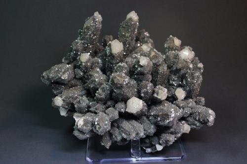 Quartz, Apophyllite
Dalnegorsk, Primorskij Kraj, Russia
19.2 x 17.2 cm (Author: Don Lum)