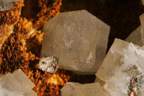 Fluorite & barite
Laporte Minerals Openpit, Dirtlow Rake, Castleton, Derbyshire, England, UK
Largest cube ~ 7 mm on edge (Author: Andy Lawton)
