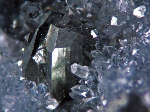 Tennantite
San Jose mine, San Jose del Progreso, Oaxaca, Mexico
Crystals 1 cm (Author: Cesar M. Salvan)