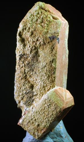 Microclina recubierta de Epidota y Clorita
Massís del Montseny - Barcelona - Catalunya - España
56 x 28 x 24 mm
Peso de la pieza: 36 gramos
Colección y Fotografía de Joan Martinez Bruguera (Autor: Joan Martinez Bruguera)