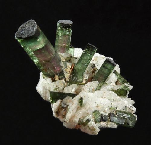 Elbaite with Albite
Pederneira claim, São José da Safira, Doce valley, Minas Gerais, Brazil
68 x 52 x 40 mm (Author: GneissWare)