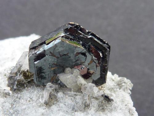 Ilmenita
Hashobay Nala, Shigar, Skardu, Pakistán
La pieza 5 x 4 cm.  El cristal aprox. 1 cm.

Detalle (Autor: javier ruiz martin)