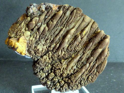 Limonita
Mina Trinidad, Sierra de Mijas, Benalmádena, Málaga, Andalucía, España
6 x 5 x 2 cm. (Autor: Felipe Abolafia)