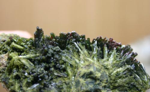 Epidota
Castener de les Olles, Serra de Sant Gervás, Tremp, Lleida, Cataluña, España.
80mm - 45mm - 41mm
Detalle. (Autor: Pedro Naranjo)