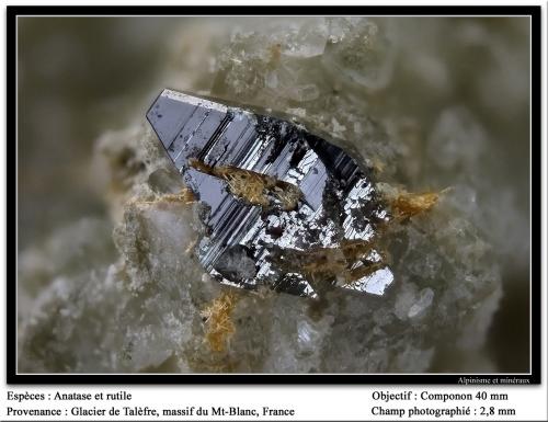 Anatase and rutile
Talèfre, Mont Blanc Massif, Chamonix, Haute-Savoie, Rhône-Alpes, France
fov 3 mm (Author: ploum)