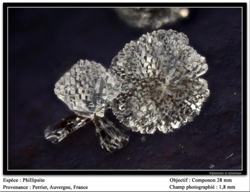 Phillipsite
Perrier, Issoire, Puy-de-Dôme, Auvergne, France
fov 1.8 mm (Author: ploum)