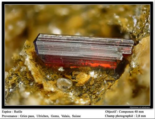 Rutile
Gries pass,  Gries lake area,  Ägene Valley,  Ulrichen,  Goms,  Wallis (Valais),  Switzerland
fov 3 mm (Author: ploum)