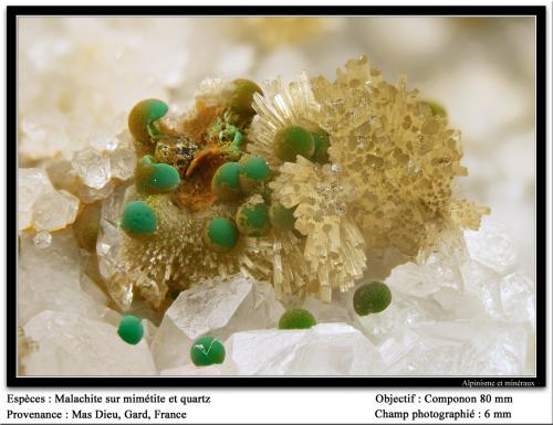 Malachite and mimetite
Mas Dieu, Mercoirol, Gard, Languedoc-Roussillon, France
fov 6 mm (Author: ploum)