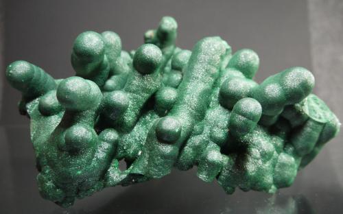 Malachite
Kolwezi District, Katanga (Shaba) Province, Democratic Republic of the Congo (Zaire)
21 x 15.5 cm (Author: Don Lum)