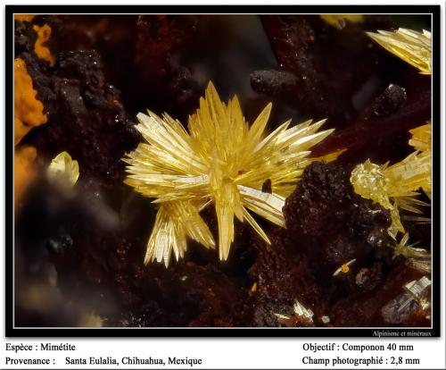 Mimetite
Santa Eulalia, Aquiles Serdán, Chihuahua, México
3 mm (Author: ploum)