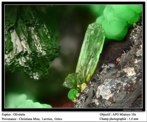 Olivenite
Christiana Mine, Kamariza Mines, Agios Konstantinos, Lavrion, Attikí, Greece
fov 3 mm (Author: ploum)