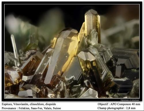 Vesuvianite
Felskinn, Fee Glacier, Saas Fee, Saas Valley, Zermatt - Saas Fee area, Valais, Switzerland
fov 3 mm (Author: ploum)