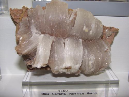 Yeso<br />La Gaviota Mine, Cola de Caballo Cove, Sierra Minera de Cartagena-La Unión, Portmán, La Unión, Comarca Campo de Cartagena, Region of Murcia (Murcia), Spain<br />13x7 cm<br /> (Autor: jaume.vilalta)