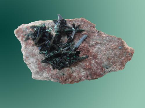 Brochantita.
Mina Milpillas, Cuitaca, Santa Cruz, Sonora,  México
10.0 cm  X  6.0 cm.  X  4.0 cm.
Gruesos cristales de Brochantita. (Autor: jesus salinas)