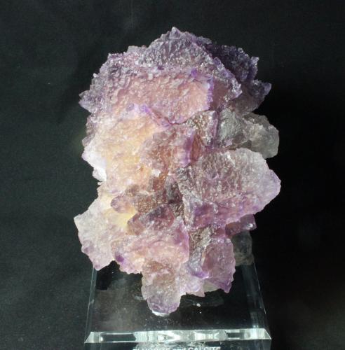 Fluorite
Denton Mine, Harris Creek Sub-District, Hardin County, Illinois, USA
16.5 x 11.5 cm (Author: Don Lum)