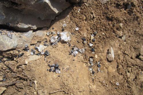 Crystals to 5 cm., spilt form a hard rock pocket. Clean and pristine, with bits of anthraxolite. (Author: vic rzonca)