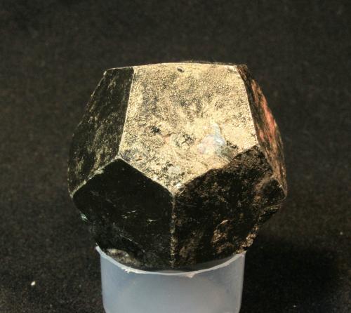 Pyrite
Murgal, Artvin Province, Black Sea Region, Turkey
4.0 x 4.0 cm (Author: Don Lum)