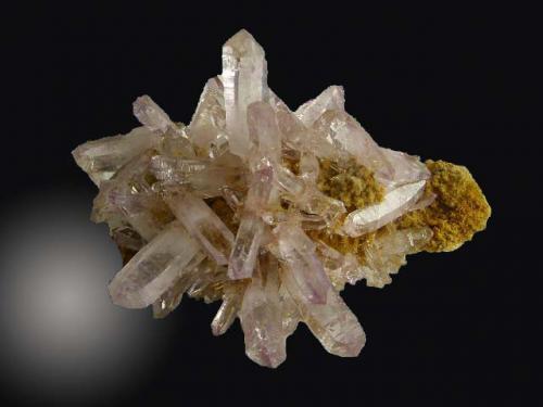 Cuarzo (variedad amatista)
Piedra Parada, Tatatila, Veracruz de Ignacio de la Llave, México
14.4 cm. X 9.0 cm, X 12.0 cm. (Autor: jesus salinas)
