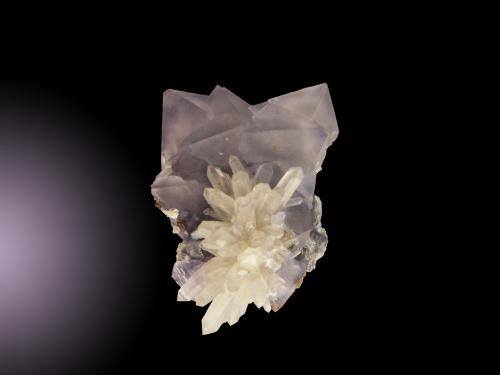 Fluorita con Cuarzo
Mina Naica, Naica, Saucillo, Chihuahua, México.
6.0 cm. X 4.0 cm. X 3.5 cm. (Autor: jesus salinas)