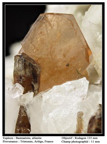 Bastnaesite-(Ce), Allanite-Dissakisite-(Ce)
Trimouns Mine, Luzenac, Ariège, Midi-Pyrénées, France
fov 11 mm (Author: ploum)