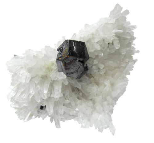 Galena on quartz
Palomo Mine, Castrovirreyna Province, Huancavelica Department, Peru
Specimen size 9 cm (Author: Tobi)