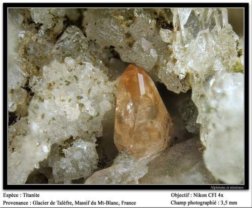 Titanite
Talèfre glacier, Mont Blanc Massif, Chamonix, Haute-Savoie, Rhône-Alpes, France
fov 3.5 mm (Author: ploum)