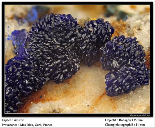 Azurite
Mas Dieu, Mercoirol, Gard, Languedoc-Roussillon, France
fov 11 mm (Author: ploum)