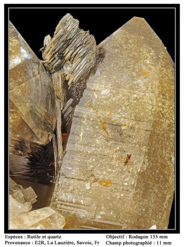 Rutile
Entre Deux Roches, La Lauzière massif, Savoie, Rhône-Alpes, France
fov11 mm (Author: ploum)