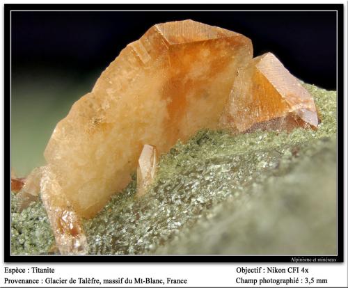 Titanite
Talèfre glacier, Mont Blanc Massif, Chamonix, Haute-Savoie, Rhône-Alpes, France
fov 3.5 mm (Author: ploum)