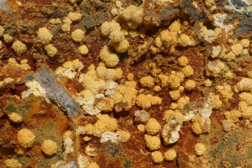 Crandallita<br />Azcárate Quarry, Eugui, Esteríbar, Comarca Auñamendi, Chartered Community of Navarre (Navarre), Spain<br />5,5 x 6,5 cm<br /> (Autor: Ander Ispizua Juan)
