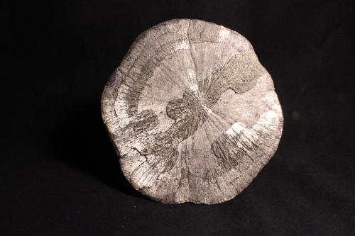 Pyrite
Sparta, Randolph County, Illinois, USA
14.7 x 14.2 cm
Pyrite Sun (Author: Don Lum)