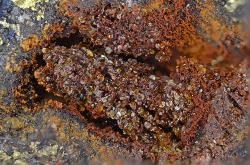 Omsita
Correc d’en Llinassos (Ravin d’en Llinassous), Oms, Pyrénées-Orientales, Languedoc-Roussillon, Francia
2 mm (Autor: pfont)