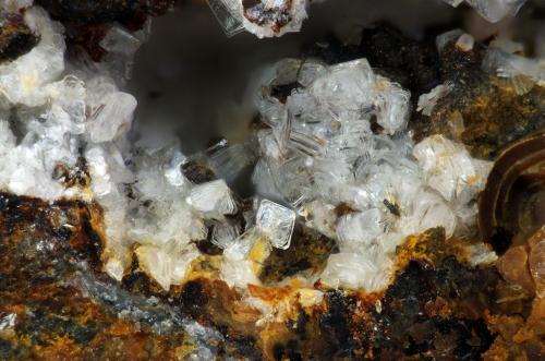 Afmita
Phosphate occurrence, Fumade, Castelnau-de-Brassac, Tarn, Midi-Pyrénées, Francia
3 mm (Autor: pfont)