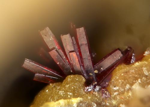 Carminita
Les Montmins Mine, Échassières, Ébreuil, Allier, Auvergne, Francia
1,1 mm (Autor: pfont)