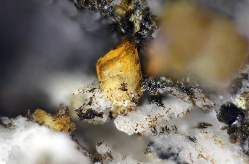 Mangangordonita
Albères massif, Pyrénées-Orientales, Languedoc-Roussillon, Francia
1.7mm (Autor: pfont)