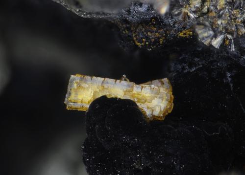 Jahnsita-(CaMnMn), Rockbridgeita
Albères massif, Pyrénées-Orientales, Languedoc-Roussillon, Francia
1.6mm (Autor: pfont)