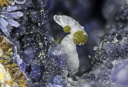 Dufrénita, Strengita
Albères massif, Pyrénées-Orientales, Languedoc-Roussillon, Francia
1.5mm (Autor: pfont)