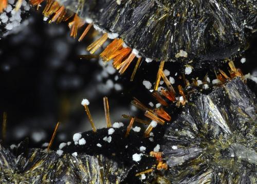 Beraunita, Variscita, Rockbridgeita
Albères massif, Pyrénées-Orientales, Languedoc-Roussillon, Francia
1mm (Autor: pfont)