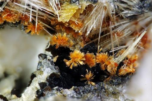 Beraunita, Strunzita, Laueita, Rockbridgeita
Albères massif, Pyrénées-Orientales, Languedoc-Roussillon, Francia
2mm (Autor: pfont)