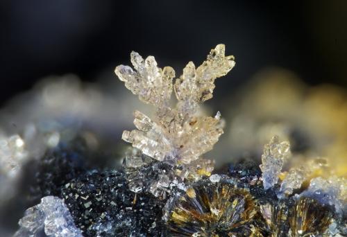 Phosphosiderita, Rockbridgeita
Albères massif, Pyrénées-Orientales, Languedoc-Roussillon, Francia
1.8mm (Autor: pfont)