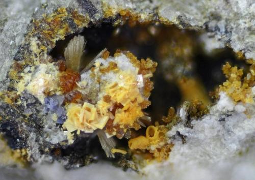 Laueita, Strunzita, Jahnsita-(CaMnMn), Strengite, Rockbridgeite
Albères massif, Pyrénées-Orientales, Languedoc-Roussillon, Francia
15mm (Autor: pfont)