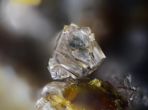 Fosfosiderita
Albères massif, Pyrénées-Orientales, Languedoc-Roussillon, Francia
2mm (Autor: pfont)