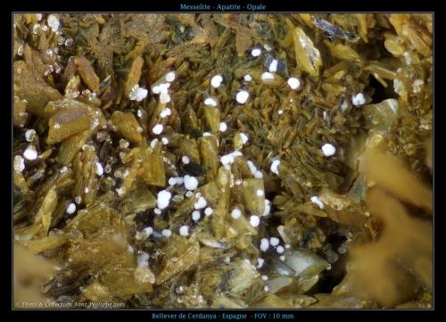 Meselita - Apatito - Ópalo
Bellver de Cerdanya, Cerdanya, Lleida, Catalunya, España
10mm (Autor: pfont)